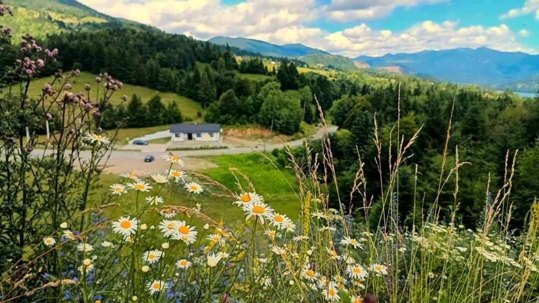 Apartmán Casa Blaju Colibiţa Exteriér fotografie